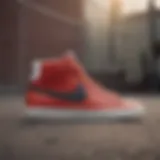 A Detailed Exploration of the Nike Blazer Mid 77 Youth Size 6 in Skateboarding Culture Introduction