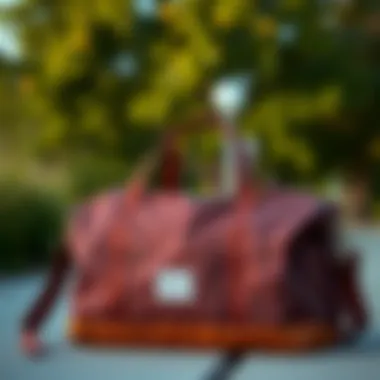 Stylish Design of Herschel Duffle Stylish design of the Herschel foldable duffle bag displayed outdoors