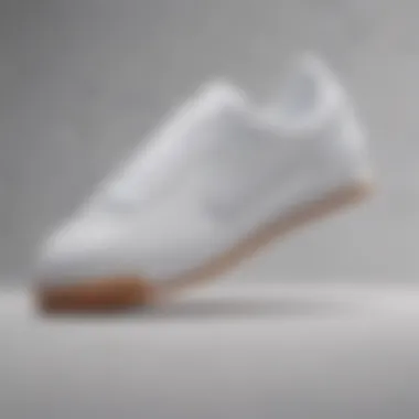 Stylish Representation of the Nike Cortez Stylish representation of the Nike Cortez All White sneaker