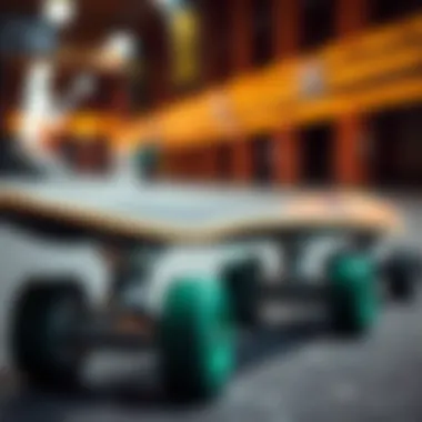 Diverse Loaded Board Styles for Every Skater Variety of loaded boards for different skate styles