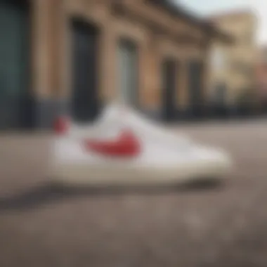 Stylish Profile of SB Blazer Court Stylish profile view of the SB Blazer Court sneaker