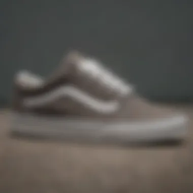 Close-up of the Vans Old Skool texture and materials