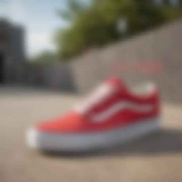 A vibrant skate park scene featuring diverse individuals wearing Vans Old Skool shoes