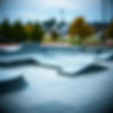 Gator Skins Ramps in a Skate Park Setting Skate park featuring gator skins ramps integrated into the environment