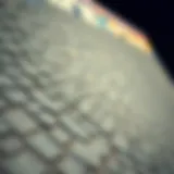 Close-up view of a gator skins ramp showcasing texture and material