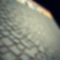 Close-up view of a gator skins ramp showcasing texture and material