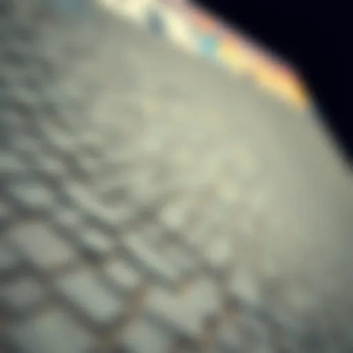 Close-up view of a gator skins ramp showcasing texture and material