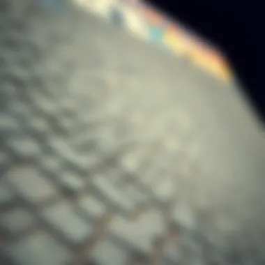 Textural Details of Gator Skins Ramp Close-up view of a gator skins ramp showcasing texture and material