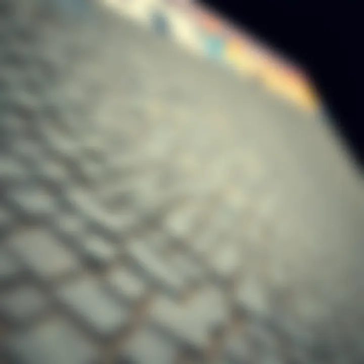 Textural Details of Gator Skins Ramp Close-up view of a gator skins ramp showcasing texture and material