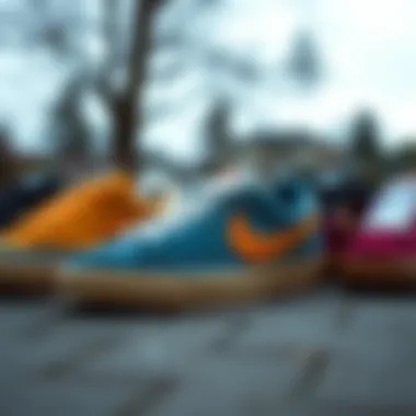 Color Variations of Nike SB Blazer Court DV2746 An array of Nike SB Blazer Court DV2746 shoes in various colorways.