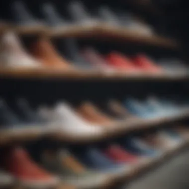 Diverse Skateboarding Shoe Styles Various styles of skateboarding shoes displayed in a row