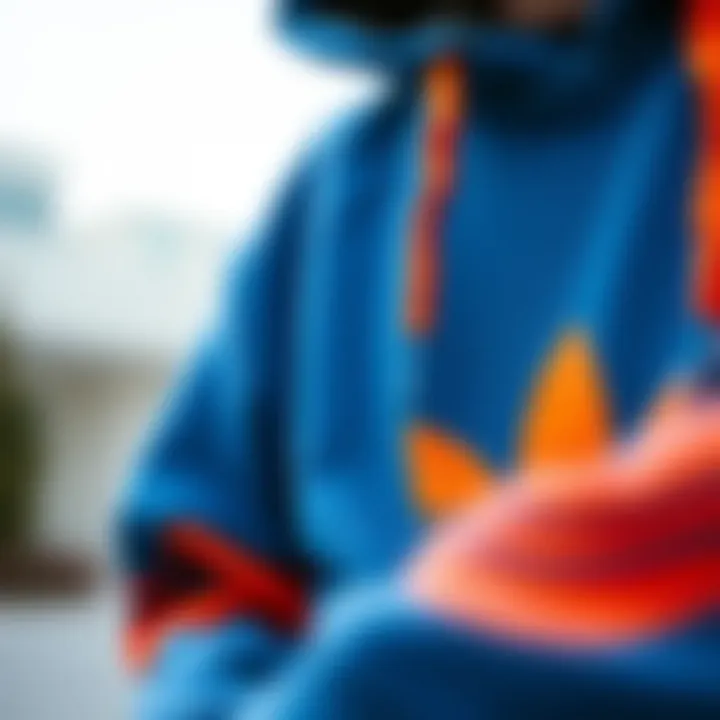 Design Influences and Details Close-up of the design elements on a blue and orange hoodie.