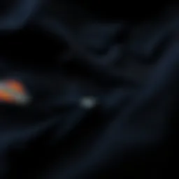 A pair of black Dickies pants laid flat showcasing the fabric texture