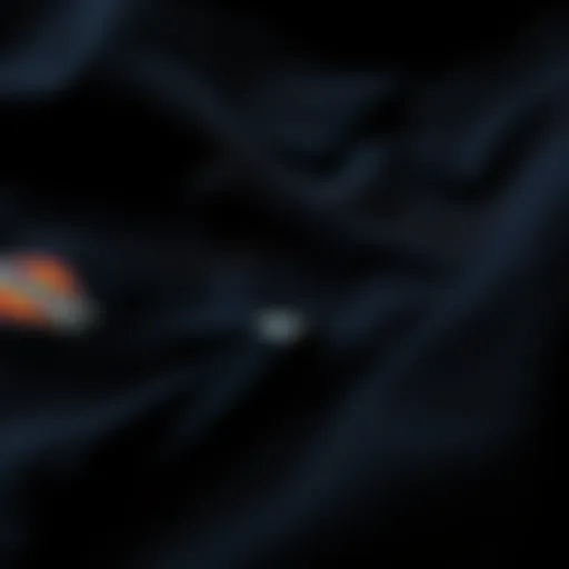 A pair of black Dickies pants laid flat showcasing the fabric texture