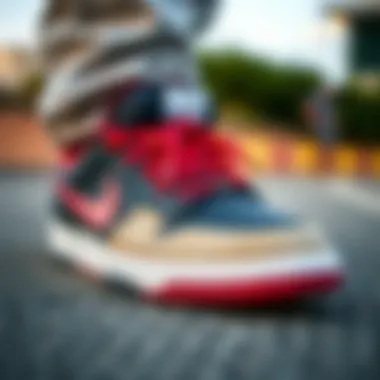 Maintenance Tips for Nike SB Size 14 Footwear Maintenance tips for Nike SB size 14 footwear