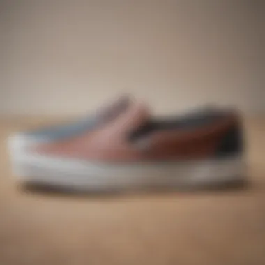 Diverse Colorways of Vans Classic Slip-On Leather Vans Classic Slip-On Leather in various colorways