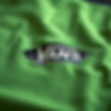 Detailed View of Vans Logo Close-up of Vans logo on t-shirt fabric