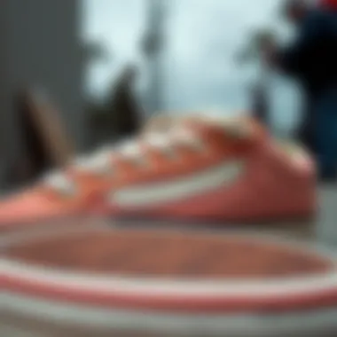 Detailed Look at Shoe Materials Close-up of the unique materials used in Vans Old Skool BMX shoes