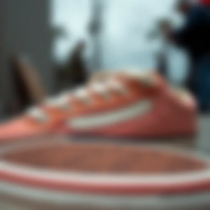 Detailed Look at Shoe Materials Close-up of the unique materials used in Vans Old Skool BMX shoes