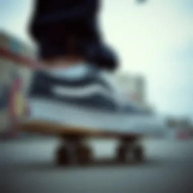 Cultural Significance of Vans SK8 Low Vans SK8 Low highlighted in skate culture