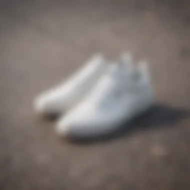 Sleek Aesthetic of Vans UltraRange White Sleek design of Vans UltraRange White sneakers